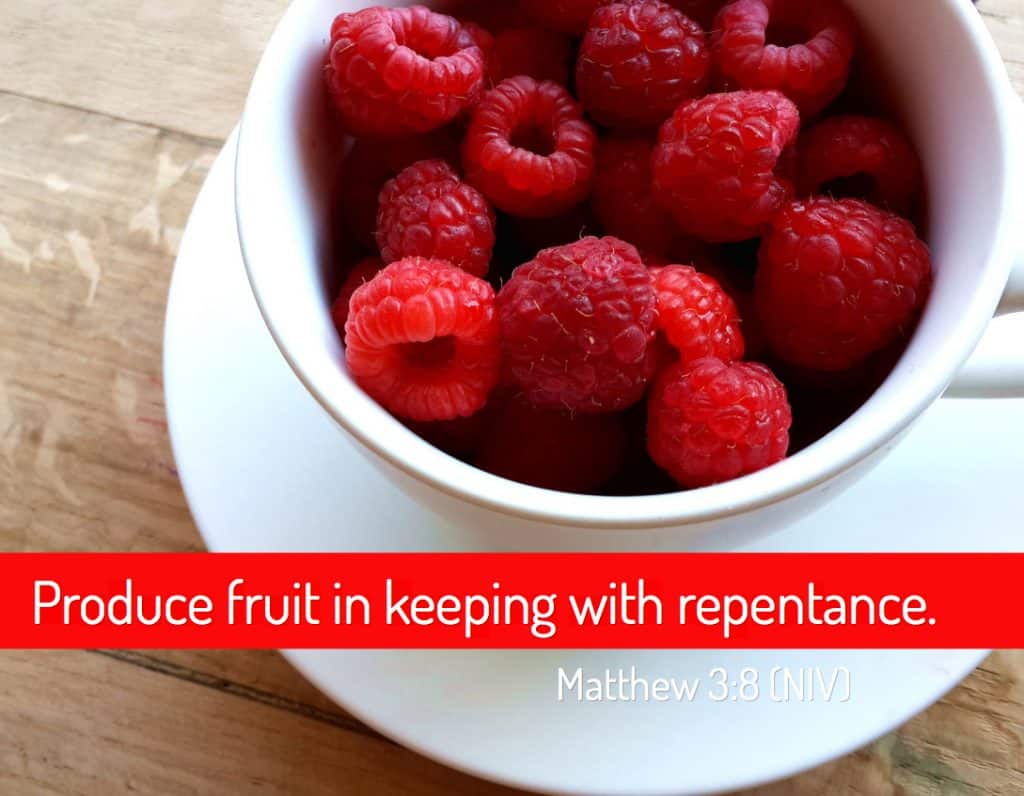Produce Fruit In Keeping With Repentance Meaning at Joseph Smart blog