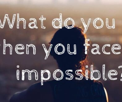 facetheimpossible