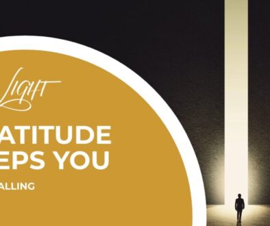 How Gratitude Keeps You From Falling cover